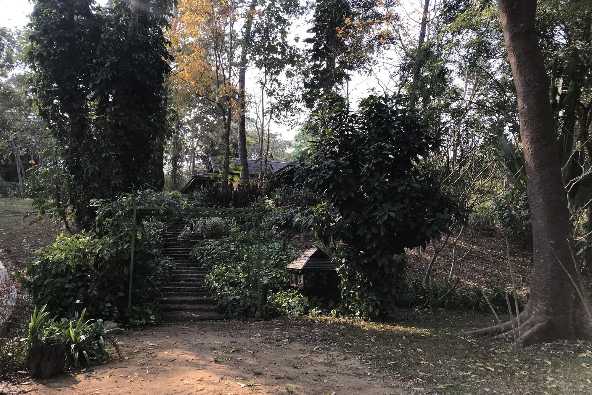 Darakorn Hill Chiang Rai