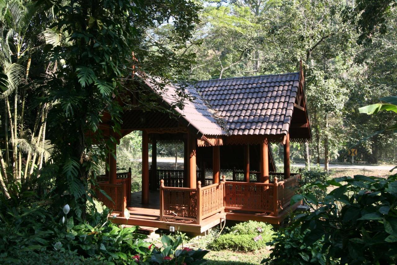 Darakorn Hill * Chiang Rai
