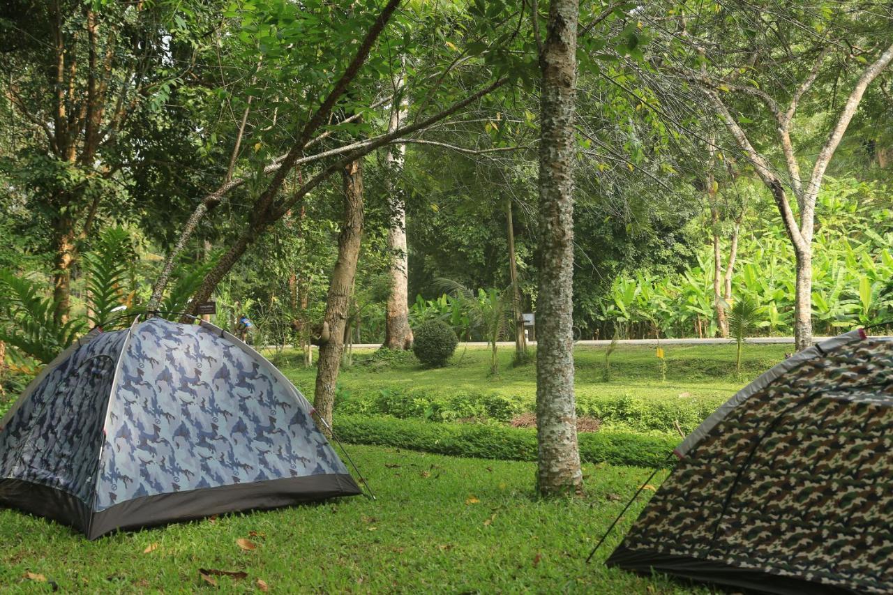 Lodge Darakorn Hill *